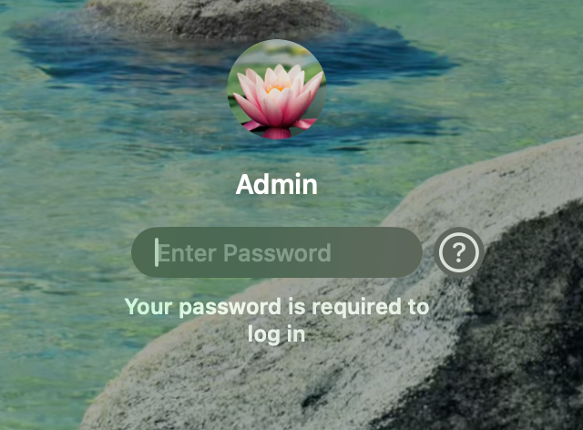 Locked screen requiring password
